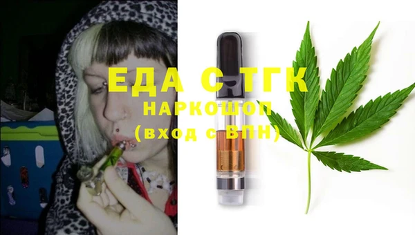 ECSTASY Алзамай