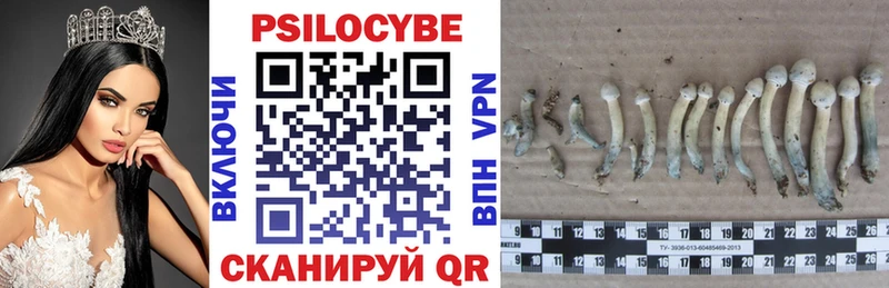 купить закладку  Опочка  Псилоцибиновые грибы ЛСД 